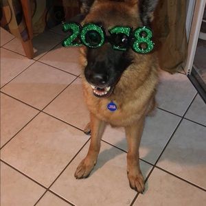 Meet your Posher, Nikki